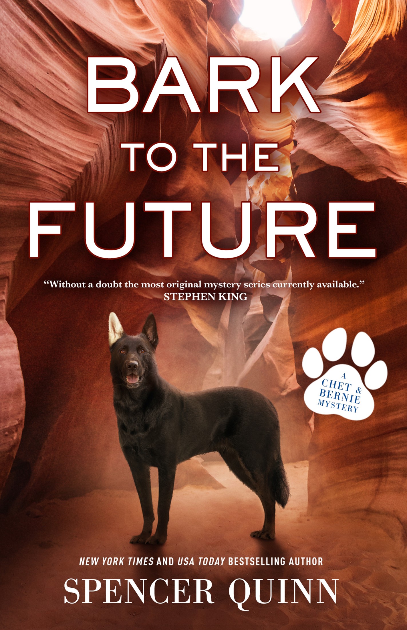 Bark to the Future: A Chet Bernie Mystery