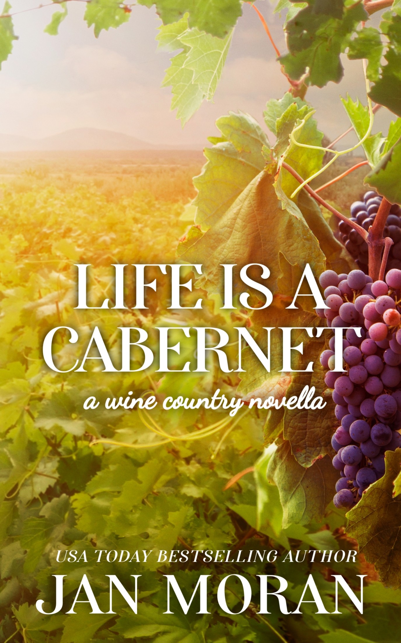 Life is a Cabernet: A Companion Wine Novella to The Winemakers
