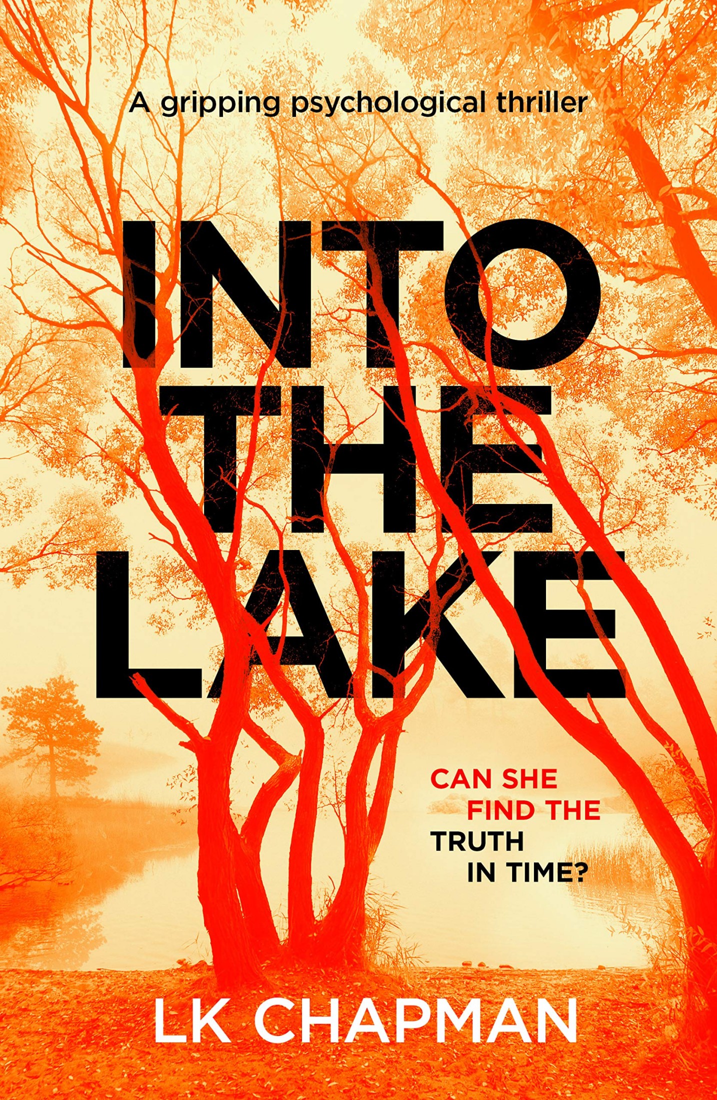 Into The Lake