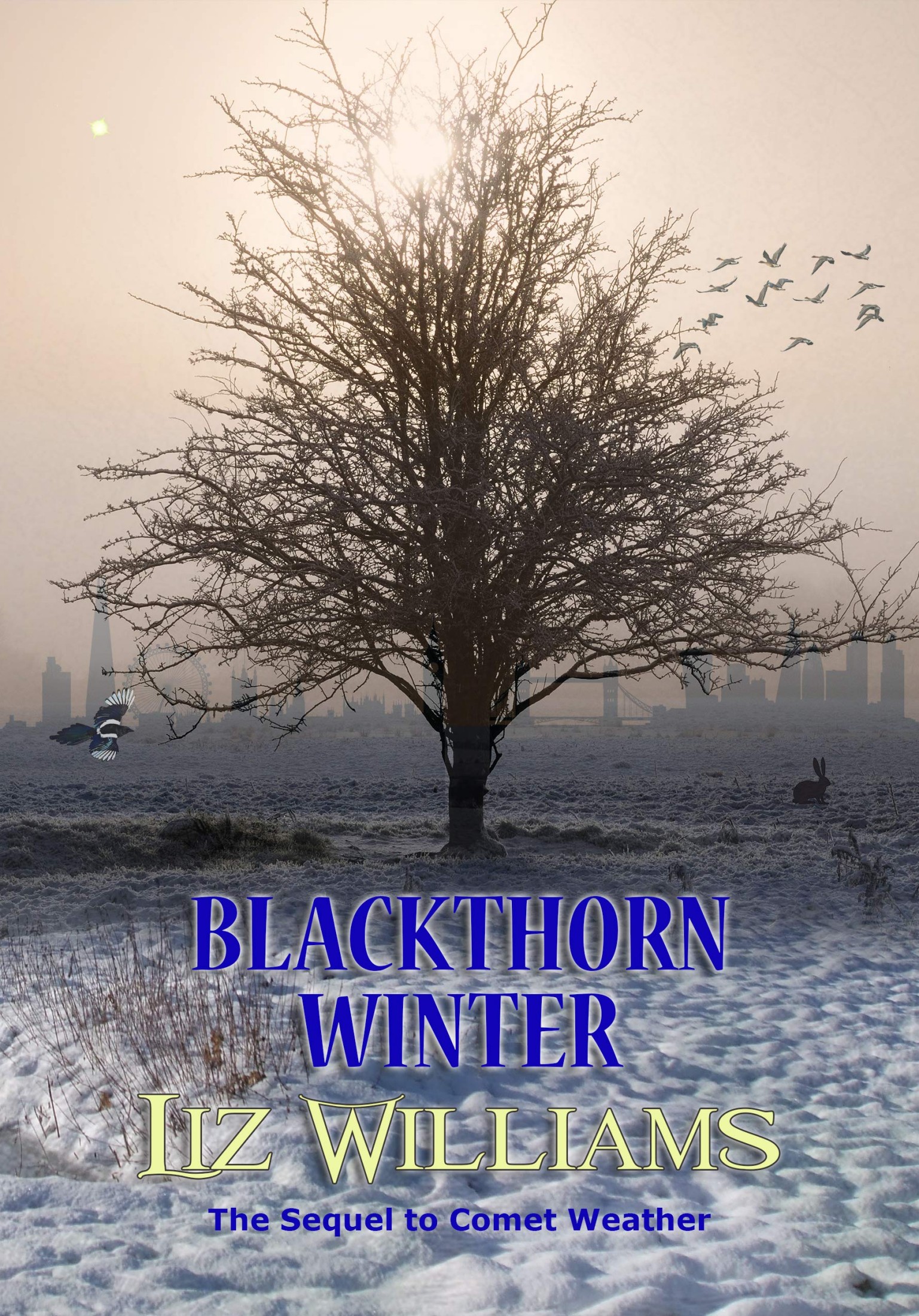 Blackthorn Winter