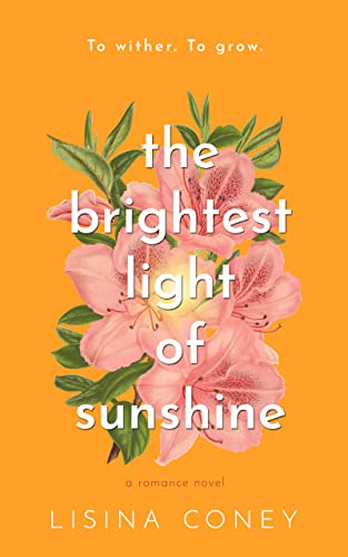The Brightest Light of Sunshine