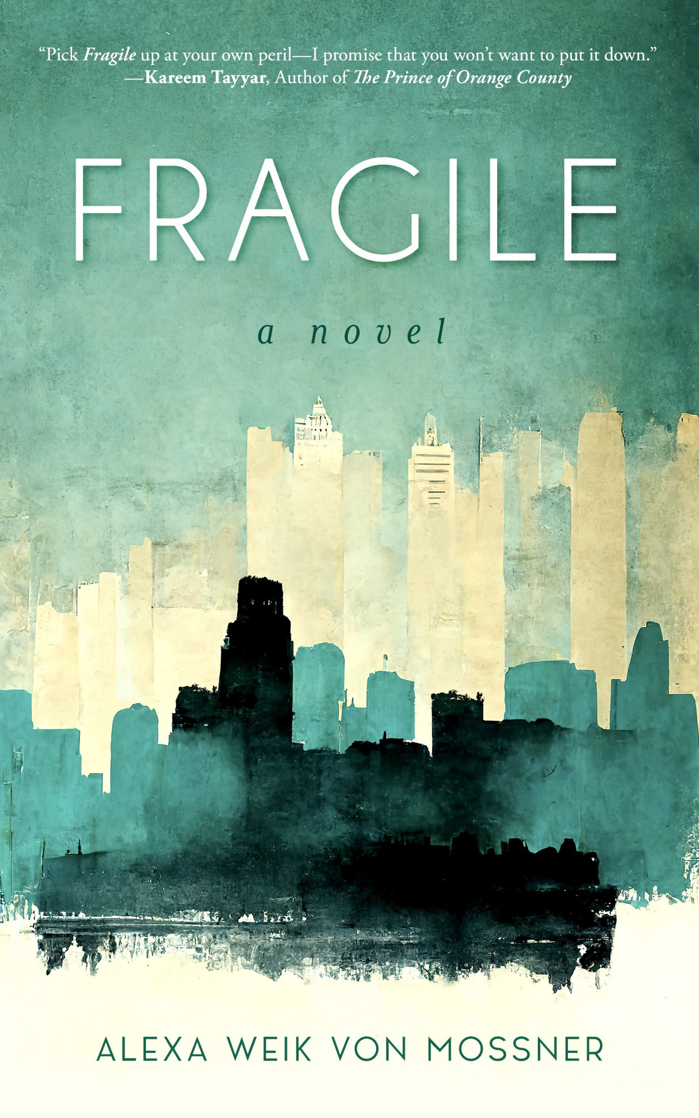 Fragile: A Novel