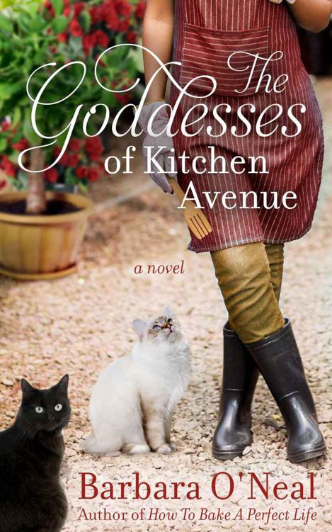 The Goddesses of Kitchen Avenue: A Novel