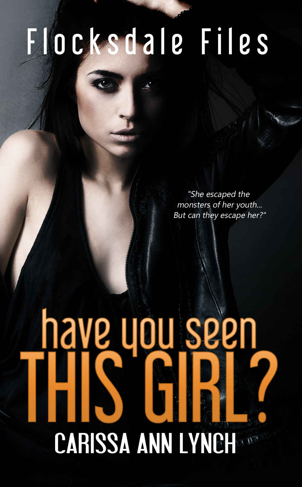 Have You Seen This Girl (Flocksdale Files Book 1)