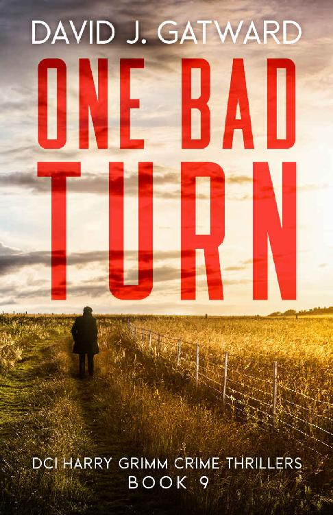 One Bad Turn: A Yorkshire Murder Mystery (DCI Harry Grimm Crime Thrillers 9)