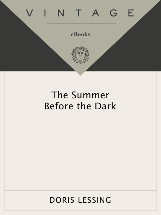 The Summer Before the Dark