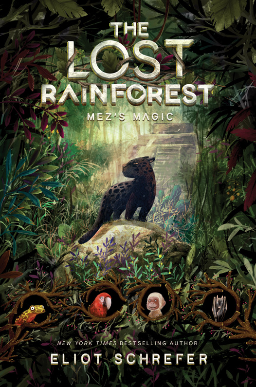 The Lost Rainforest