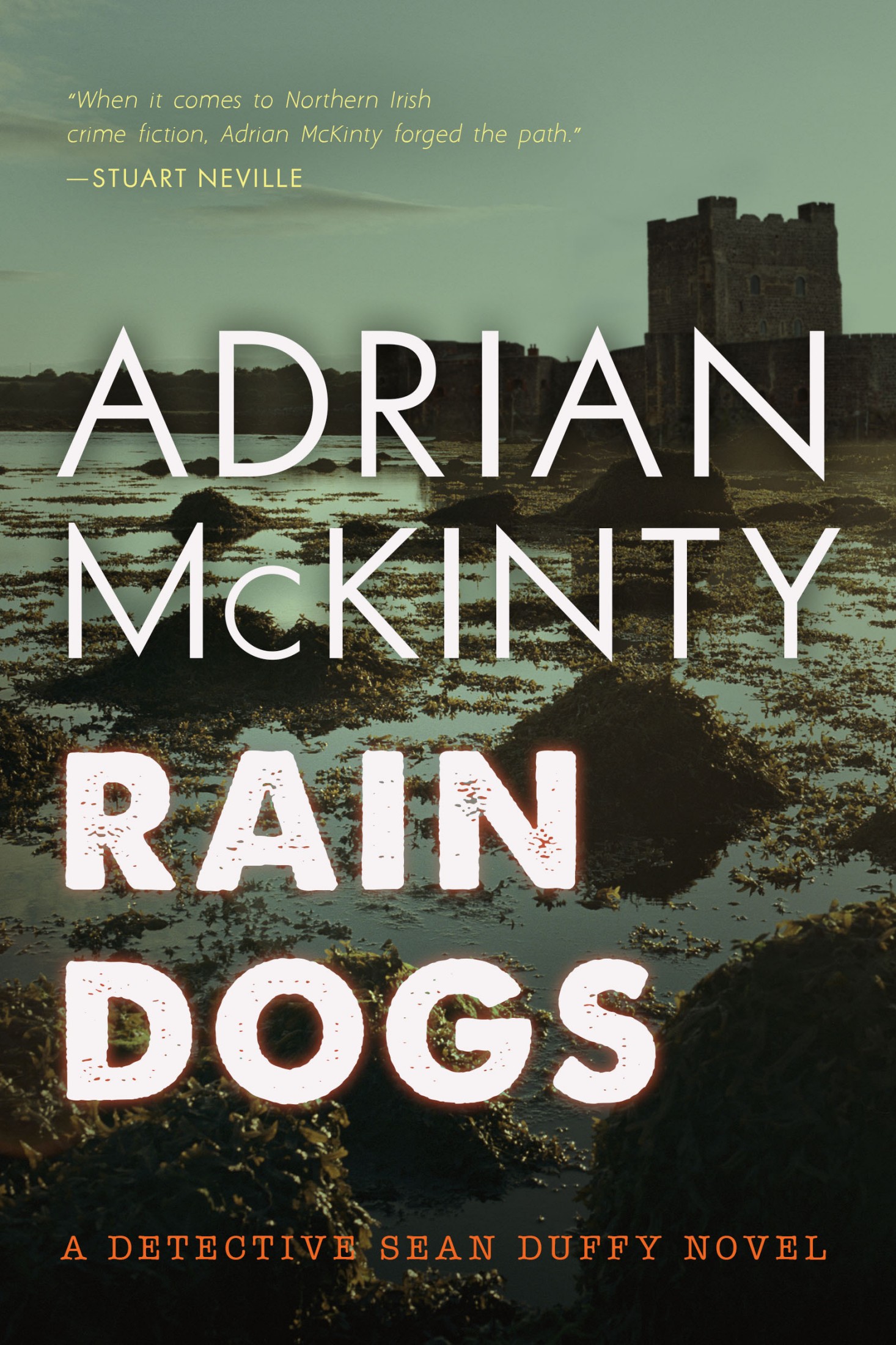 Rain Dogs: A Detective Sean Duffy Novel