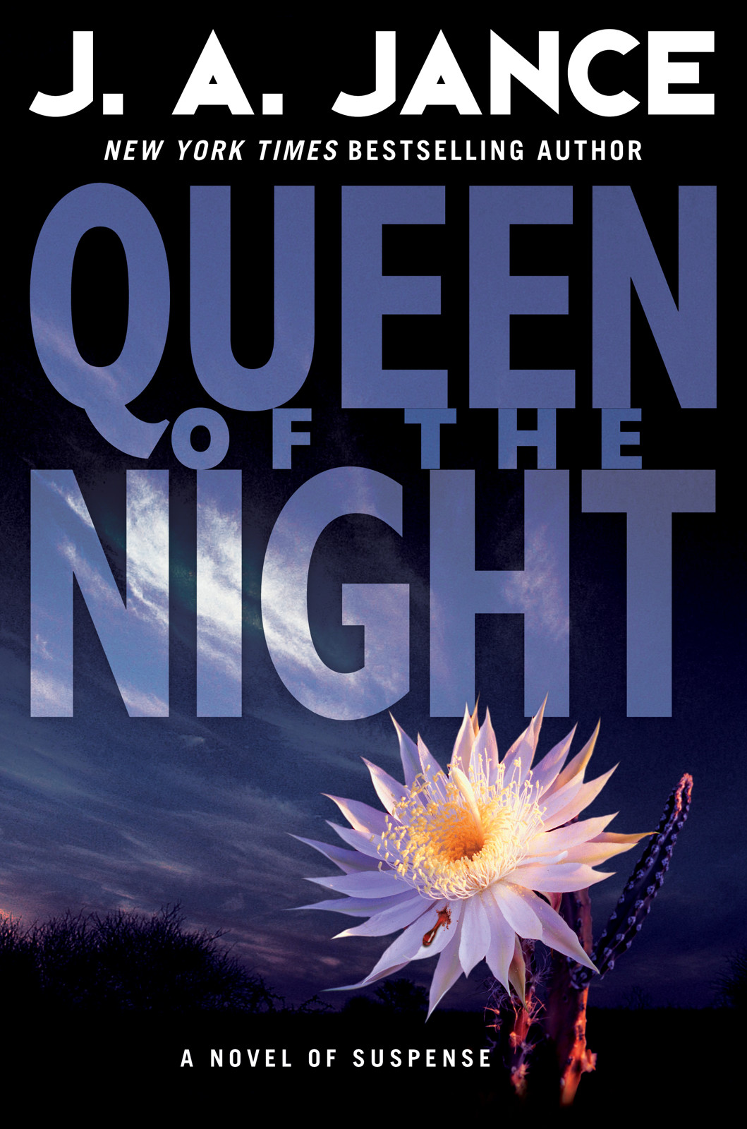 Queen of the Night (Walker Family Mysteries) by J. A. Jance