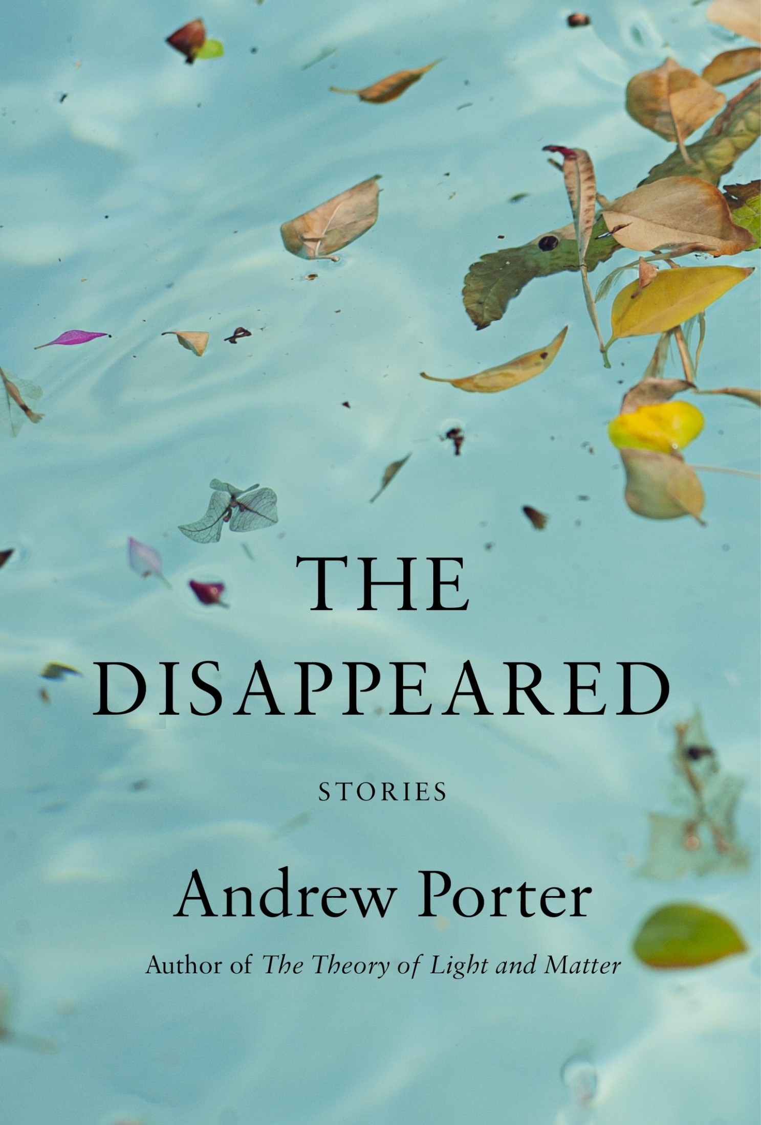 The Disappeared: Stories