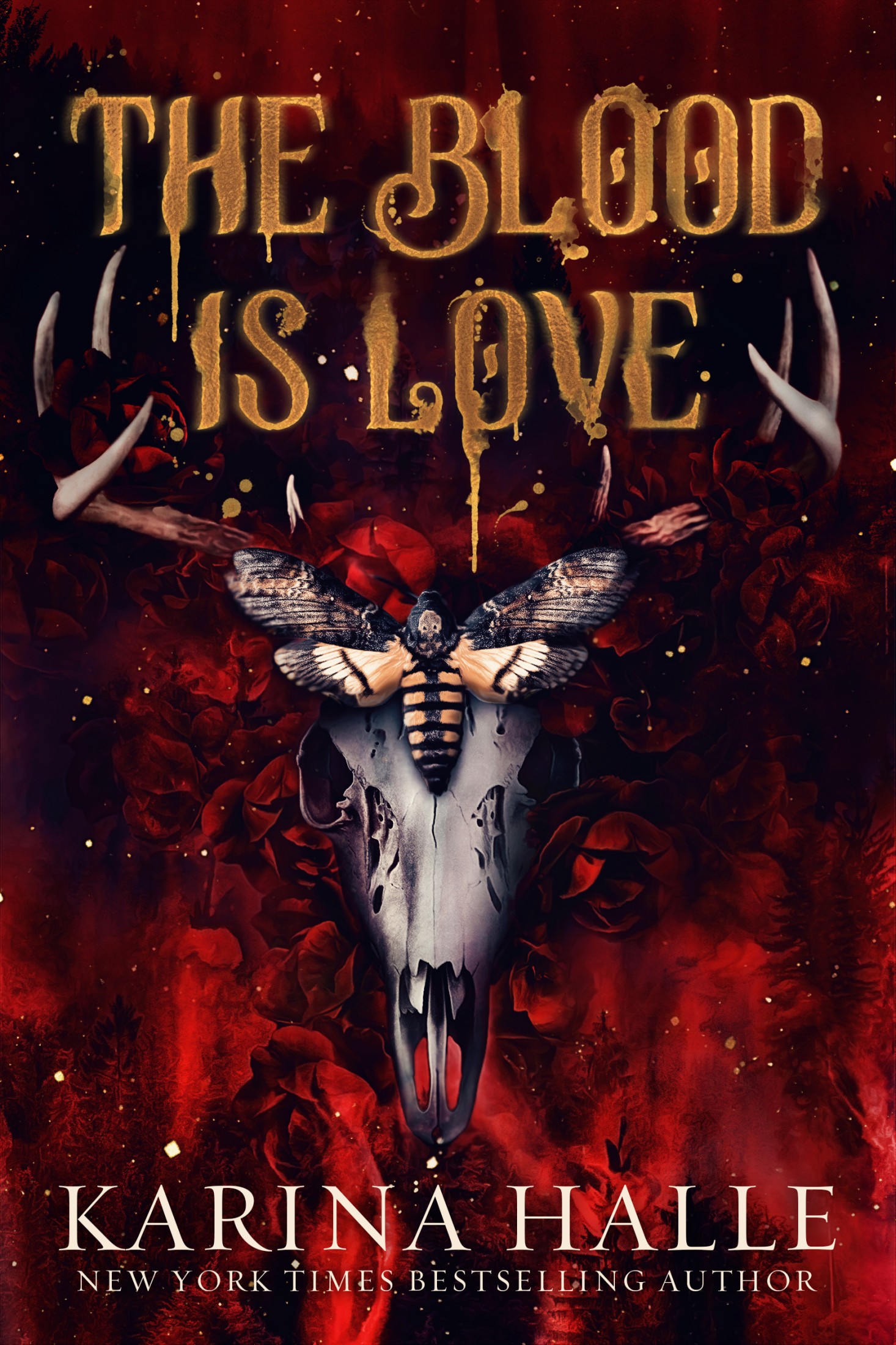 The Blood is Love: A Dark Vampire Romance